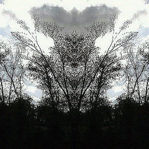 Meet your Posher, Dan